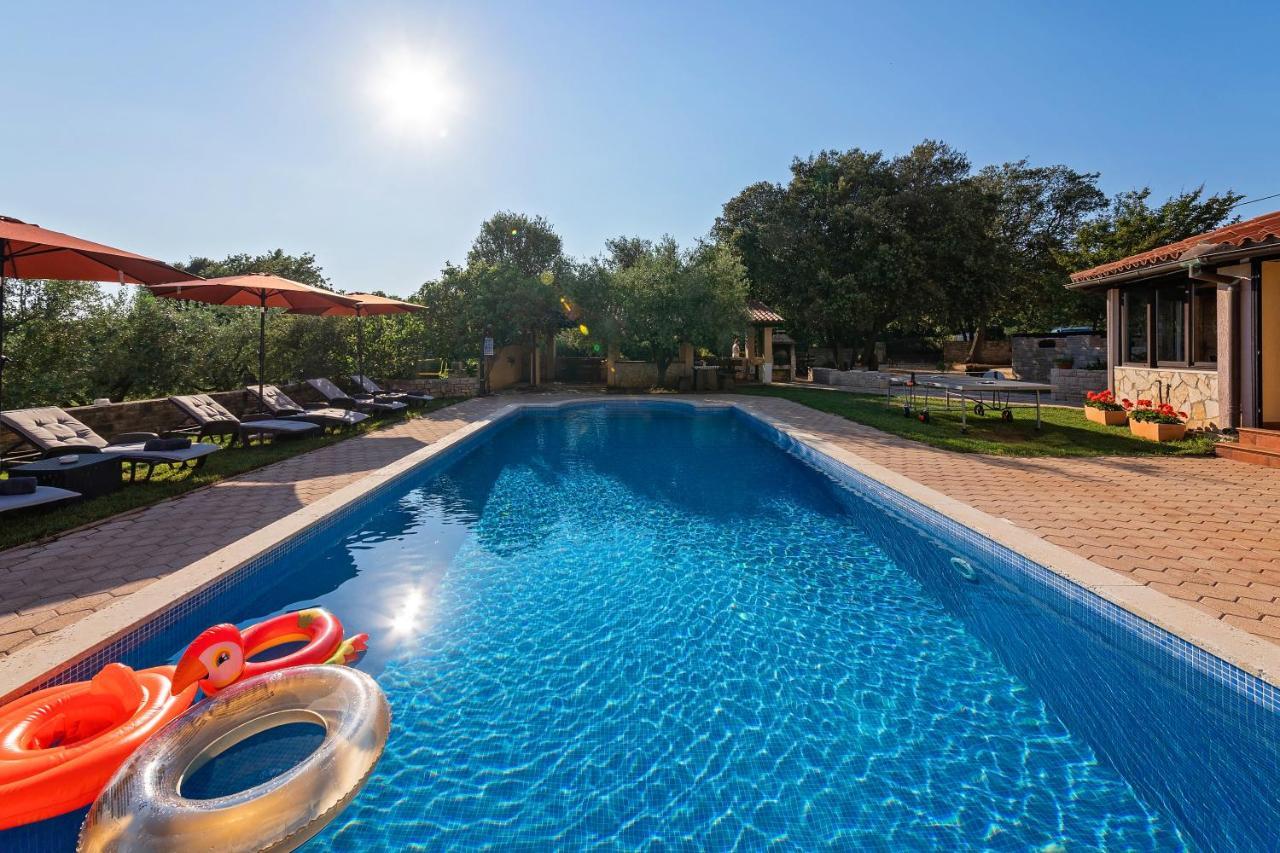 Guesthouse "Barboska" - Big Outdoor Swimming Pool & Private Tennis Court Воднян Екстер'єр фото