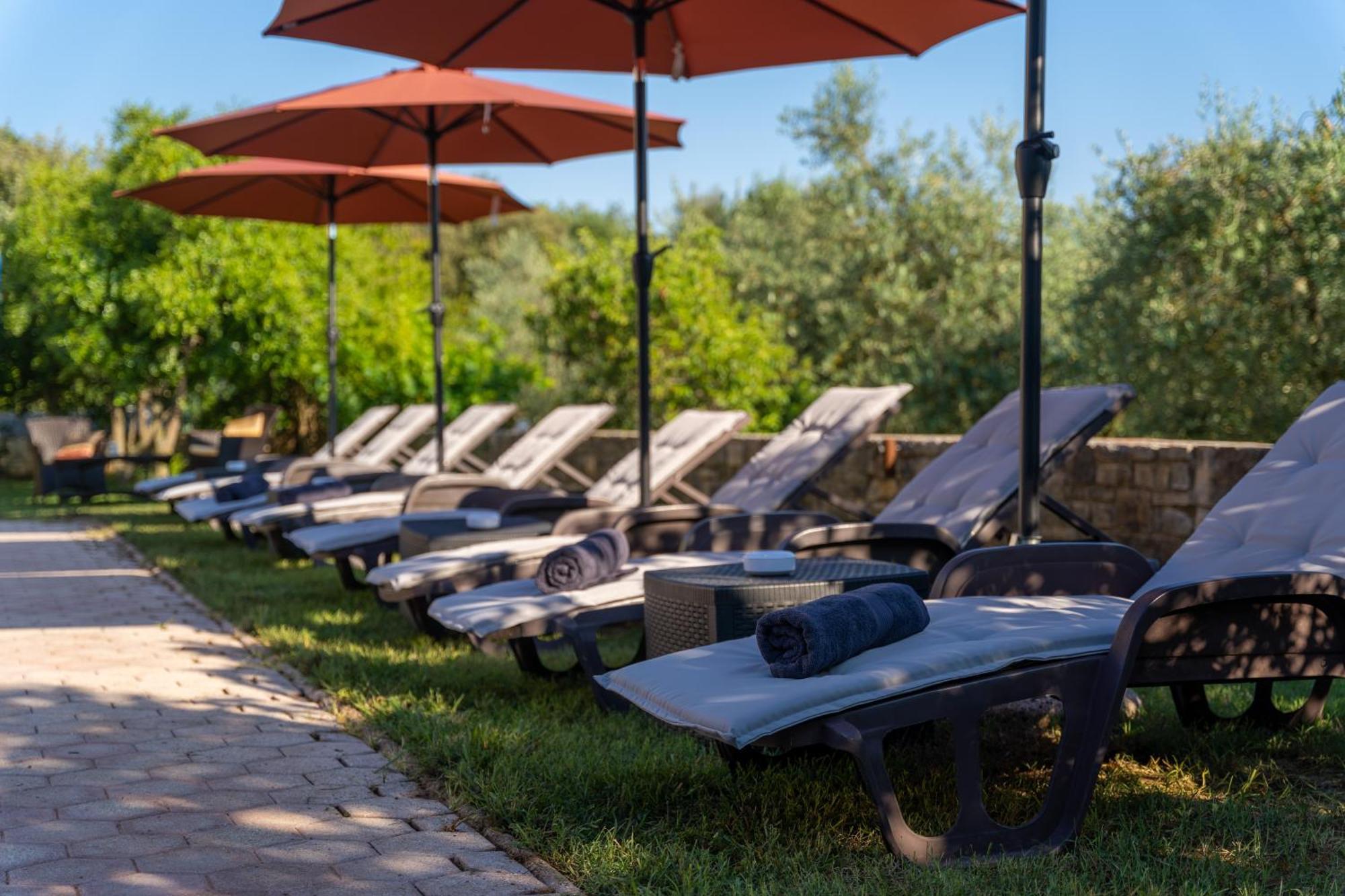 Guesthouse "Barboska" - Big Outdoor Swimming Pool & Private Tennis Court Воднян Екстер'єр фото