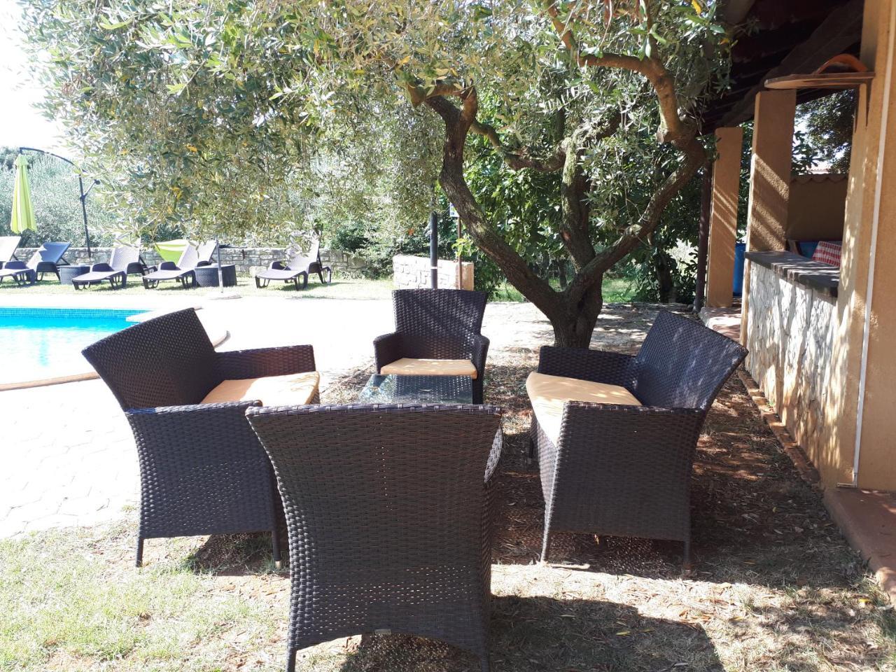 Guesthouse "Barboska" - Big Outdoor Swimming Pool & Private Tennis Court Воднян Екстер'єр фото